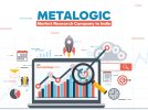 Metalogic Market Research Company in India.jpg
